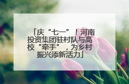 庆“七一”！河南投资集团驻村队与高校“牵手”，为乡村振兴添新活力
